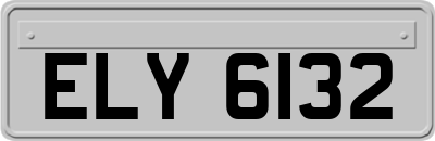 ELY6132