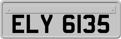 ELY6135