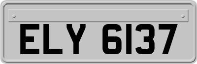 ELY6137