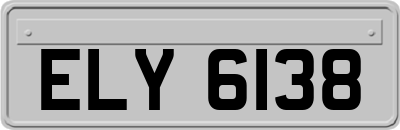 ELY6138