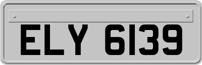 ELY6139