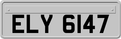 ELY6147