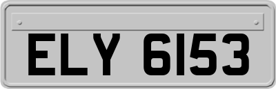 ELY6153