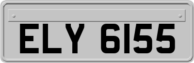 ELY6155