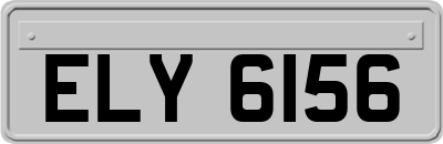 ELY6156