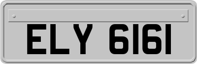 ELY6161