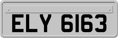 ELY6163