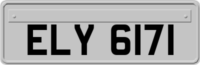 ELY6171