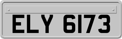 ELY6173
