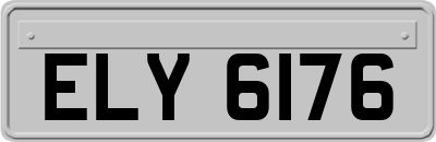 ELY6176