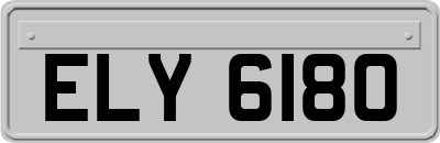 ELY6180