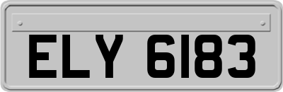 ELY6183