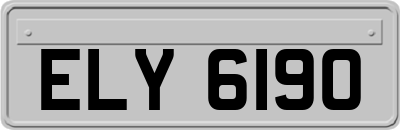 ELY6190