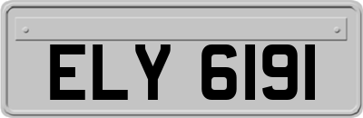 ELY6191