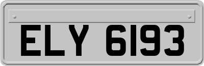 ELY6193