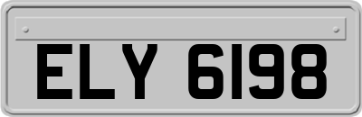 ELY6198