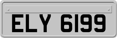ELY6199