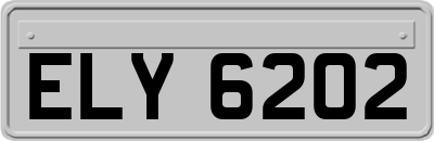 ELY6202