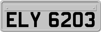 ELY6203