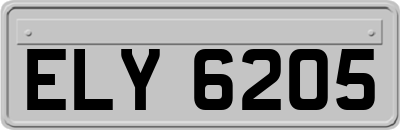 ELY6205