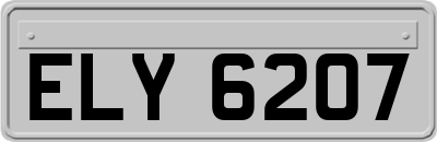 ELY6207