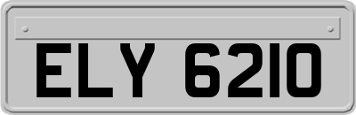 ELY6210
