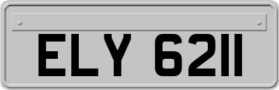 ELY6211