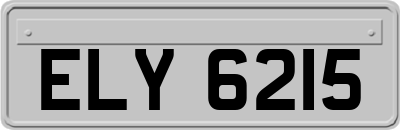 ELY6215