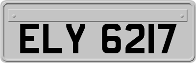 ELY6217