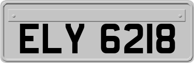 ELY6218