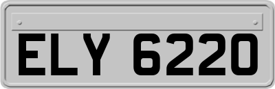ELY6220