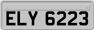 ELY6223