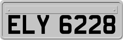 ELY6228