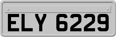 ELY6229