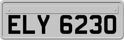 ELY6230