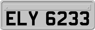 ELY6233