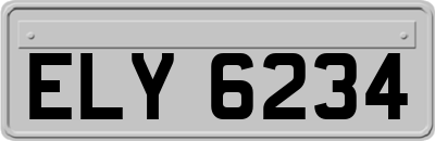 ELY6234