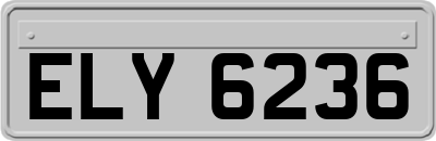 ELY6236