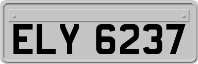ELY6237