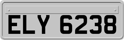 ELY6238