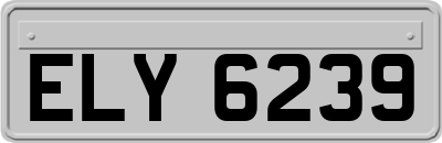 ELY6239