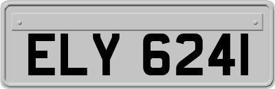 ELY6241