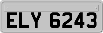 ELY6243