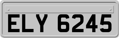 ELY6245