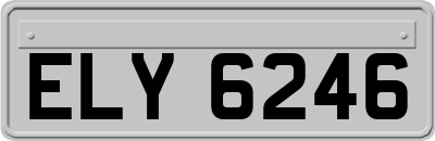 ELY6246