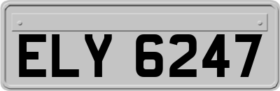 ELY6247