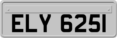 ELY6251