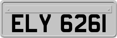 ELY6261