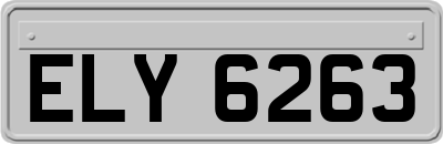 ELY6263