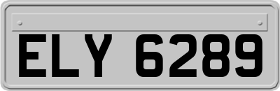 ELY6289